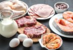 animal-protein-meat-gut-b12