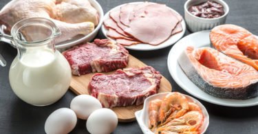 animal-protein-meat-gut-b12